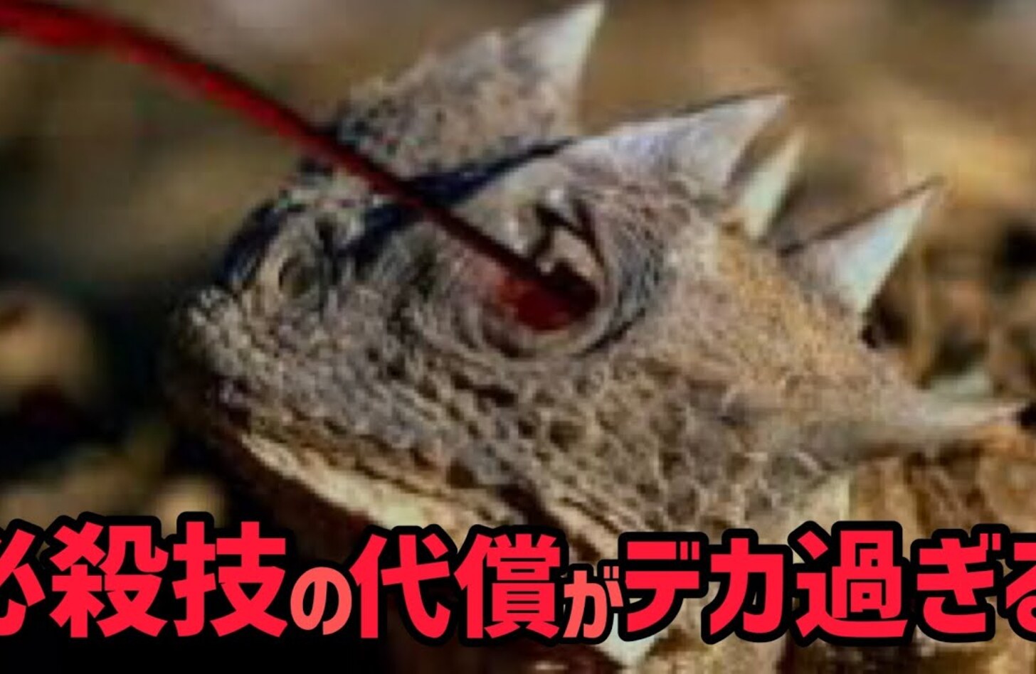 サバクツノトカゲ