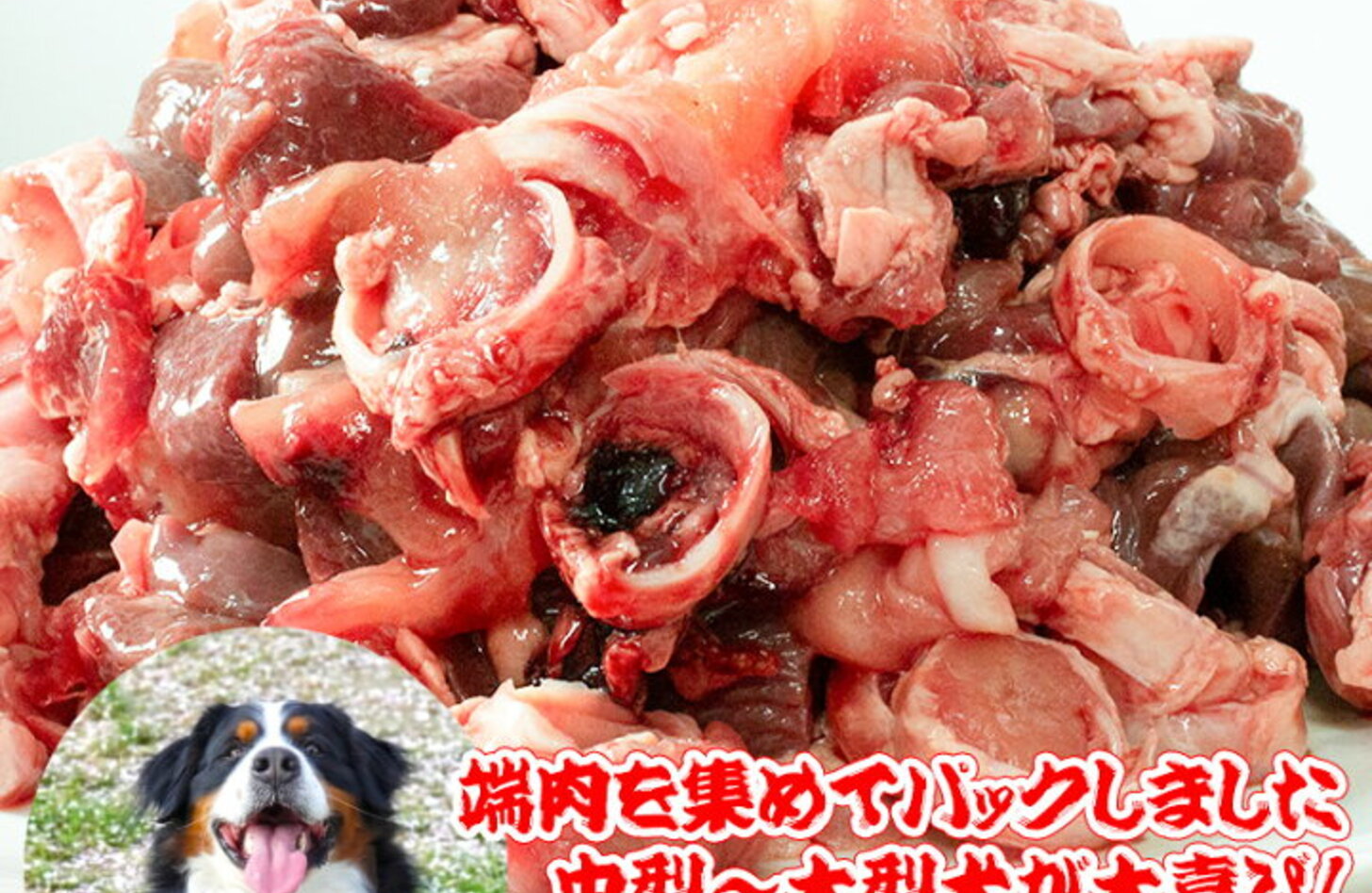 犬 生肉