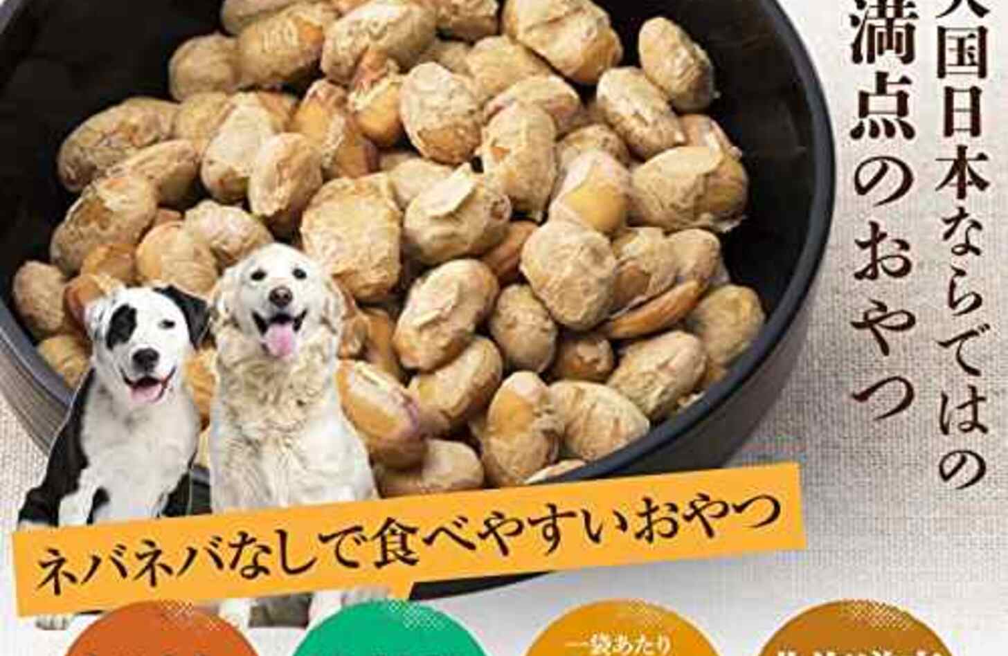 犬 納豆